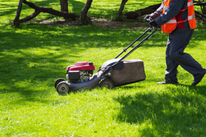 strata lawn mowing